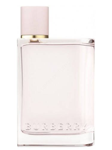 BURBERRY HER 100ML EDP