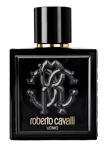 ROBERTO CAVALLI UOMO EDT 100ML